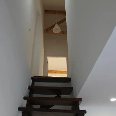 里斯本公寓，带私人泳池 Lisboa